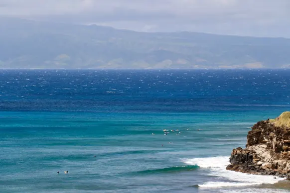 Kazino Two Fat Ladies Bingo Pagalba